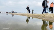 Spaziergänger am Strand. © Screenshot 