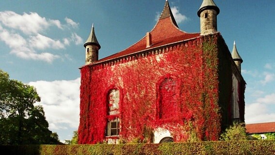 Ein Turm von Schloss Derneburg, der mit roten Pflanzen überwuchert ist. © Screenshot 
