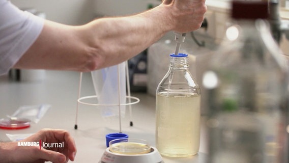 Szene in einem Labor: Eine person entnimmt mit einer Pipette eine klare Flüssigkeit aus einer Flasche. Neben der Flasche liegt eine Petrischale. © Screenshot 