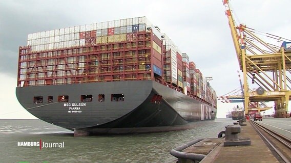 Ein großes Containerschiff liegt am Kai, von dem die Frachtkräne in den Himmel ragen. © Screenshot 