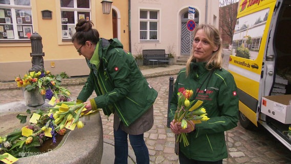 Floristinnen schmücken einen Brunnen zum Weltfrauentag. © Screenshot 