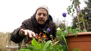 Ein Mann beugt sich in einem Garten über ein paar Blümchen. © Screenshot 