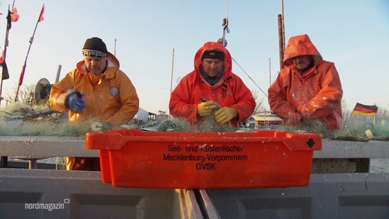 Fischer in orangenen Kapuzenjacken säubern ihre Netze. © Screenshot 