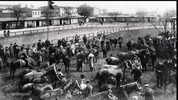 Ein altes schwarz-weiß Foto zeigt eine Gruppe menschen und Pferde. © Screenshot 