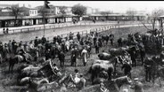 Ein altes schwarz-weiß Foto zeigt eine Gruppe menschen und Pferde. © Screenshot 
