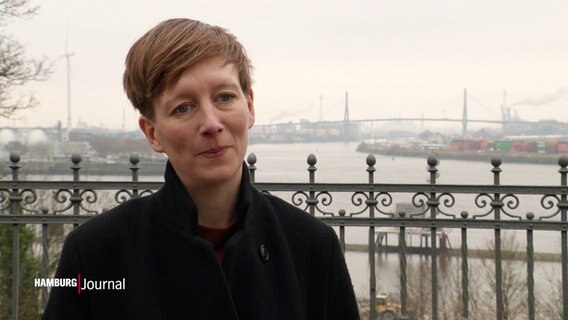 Kristina Sassenscheidt vom Denkmalverein Hamburg äußert sich zu den Plänen rund um eine neue Köhlbrandbrücke. © Screenshot 