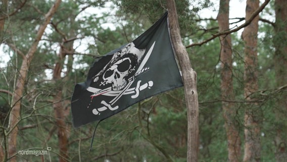 An einem Baum hängt eine Piraten-Flagge, die im Wind weht. © Screenshot 