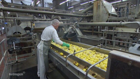 Ein Arbeiter sortiert am Fließband in einer Fabrik Kartoffeln. © Screenshot 