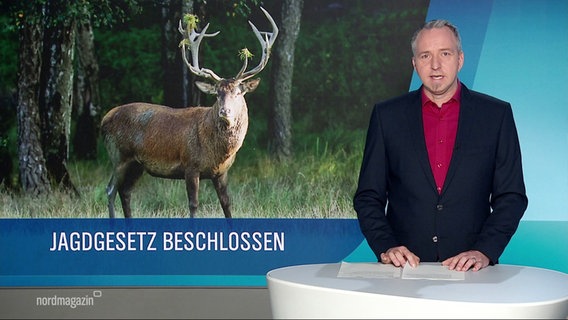 Eine Moderationsszene mit einem Hirsch im Hintergrund. © Screenshot 