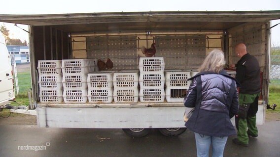 kisten mit lebendem Geflügel stehen auf einem Anhänger. © Screenshot 