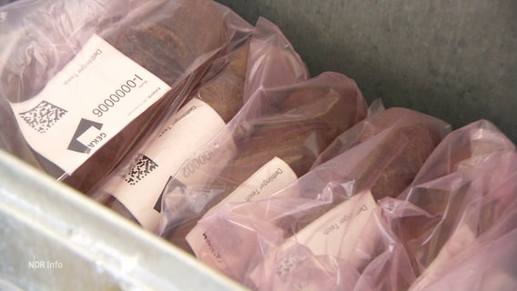 Granaten voll chemischen Kampfstoffen sind in einer Kiste gestapelt. © Screenshot 