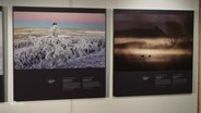 Naturfotografien wie diese sind ab sofort im Schleswiger Stadtmuseum zu bestaunen. © Screenshot 