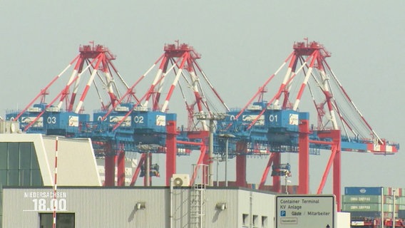 Mehrere große Hafenkräne stehen in einem Container Terminal. © Screenshot 
