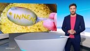 Stefan Leyh moderiert das Niedersachsen Magazin um 18:00 Uhr. © Screenshot 