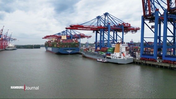 Am Hamburger Hafen werden Containerschiffe beladen. © Screenshot 