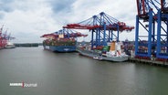 Am Hamburger Hafen werden Containerschiffe beladen. © Screenshot 