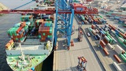 Ein Frachtschiff, beladen mit Containern, liegt am Terminal "Tollerort" im Hamburger Hafen. © Screenshot 
