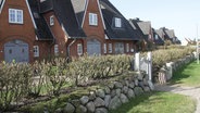 Rot geklinkerte Häuser mit Sprossenfenstern hinter einer Hecke auf der Nordseeinsel Sylt. © Screenshot 