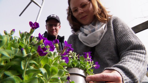 Kunden eines Gartenmarktes suchen sich Pflanzen für ein Projekt für den heimischen Garten aus. © Screenshot 
