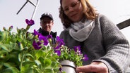Kunden eines Gartenmarktes suchen sich Pflanzen für ein Projekt für den heimischen Garten aus. © Screenshot 