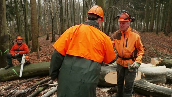 Waldarbeiter in orangener Kleidung. © Screenshot 