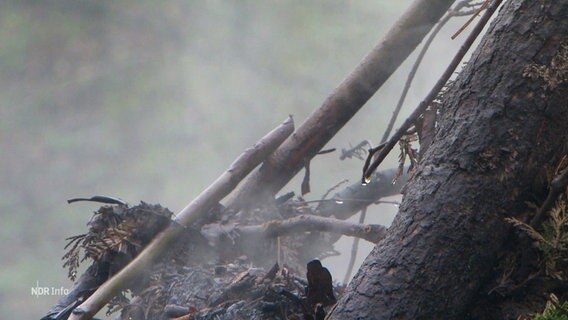 Noch rauchendes, nasses Holz eines Osterfeuers. © Screenshot 