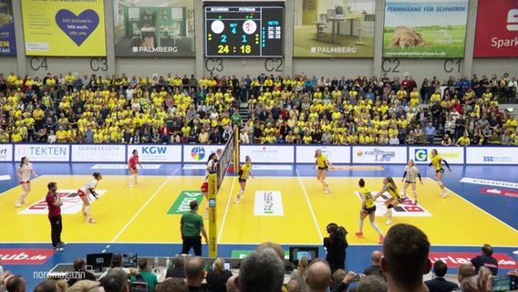 Volleyballspielerinnen stehen auf einem Spielfeld. © Screenshot 