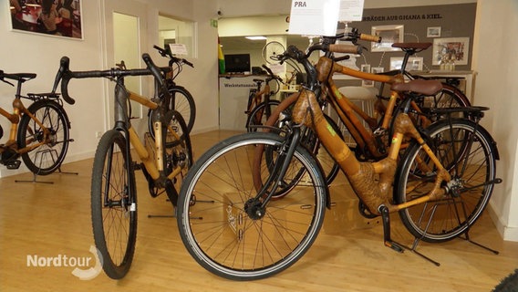 In einem Raum stehen unterschiedliche Fahrrad-Typen mit Rahmen aus Bambus. © Screenshot 