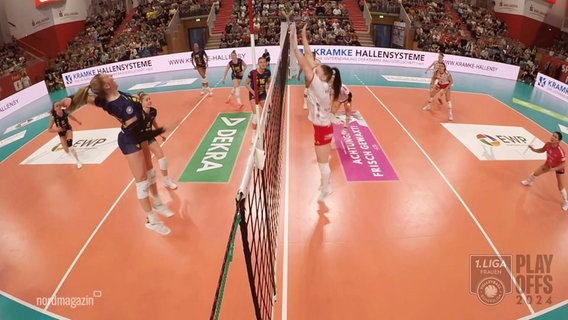 Zwei Volleyball-Mannschaften treten in einer Halle gegeneinander an. © Screenshot 