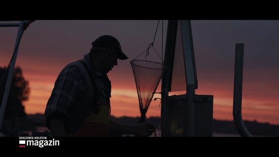 Ein Fischer auf einem Fischkutter mir einem Netz hantierend. © Screenshot 