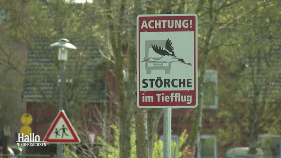Warnschild "Achtung! Störche im Tiefflug" mit einer Darsellung eines Storches vor einem LKW. © Screenshot 