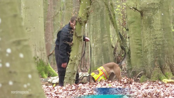 Ein Spürhund sucht mit einem Polizeibeamten nach einem Vermissten im Wald. © Screenshot 