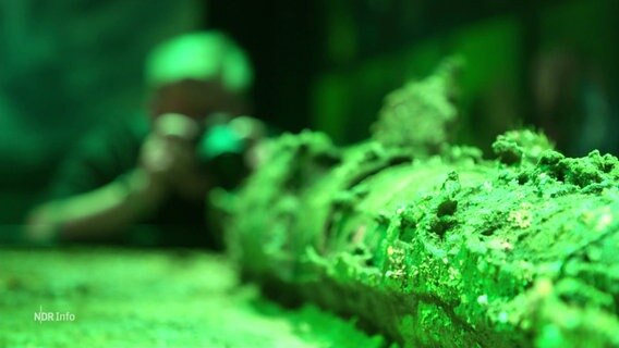Ein U-Boot Modell wird in grünem Licht angestrahlt. © Screenshot 