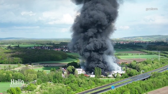 Luftaufnahme der Rauchsäule, die vom Großbrand aufsteigt. © Screenshot 