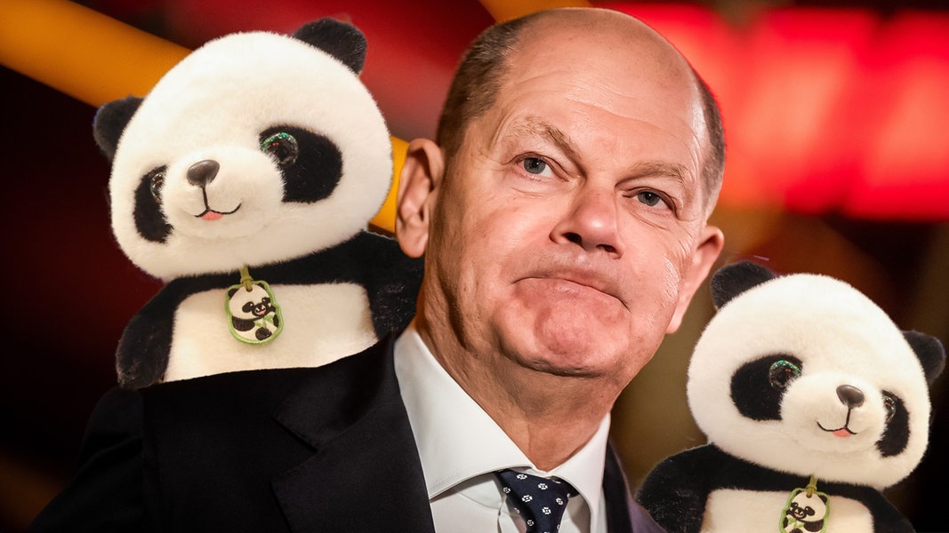 Bundeskanzler Olaf Scholz mit Plüsch-Pandabären. (extra 3 vom 18.04.2024 im Ersten)