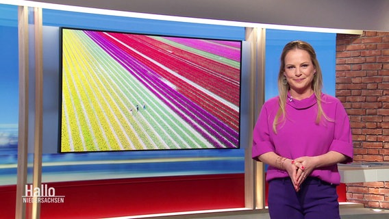 Tina Hermes moderiert Hallo Niedersachsen um 19:30 Uhr. © Screenshot 