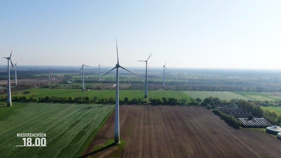 Mehrere Windräder auf einem Feld. © Screenshot 