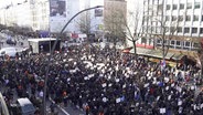 Eine Demonstration in Hamburg aus der Luft betrachtet. © Screenshot 