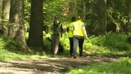 Ein Suchteam mit Spührhund im Wald. © Screenshot 