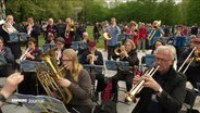 Musizierende mit Blechblasintsrumenten im Park. © Screenshot 