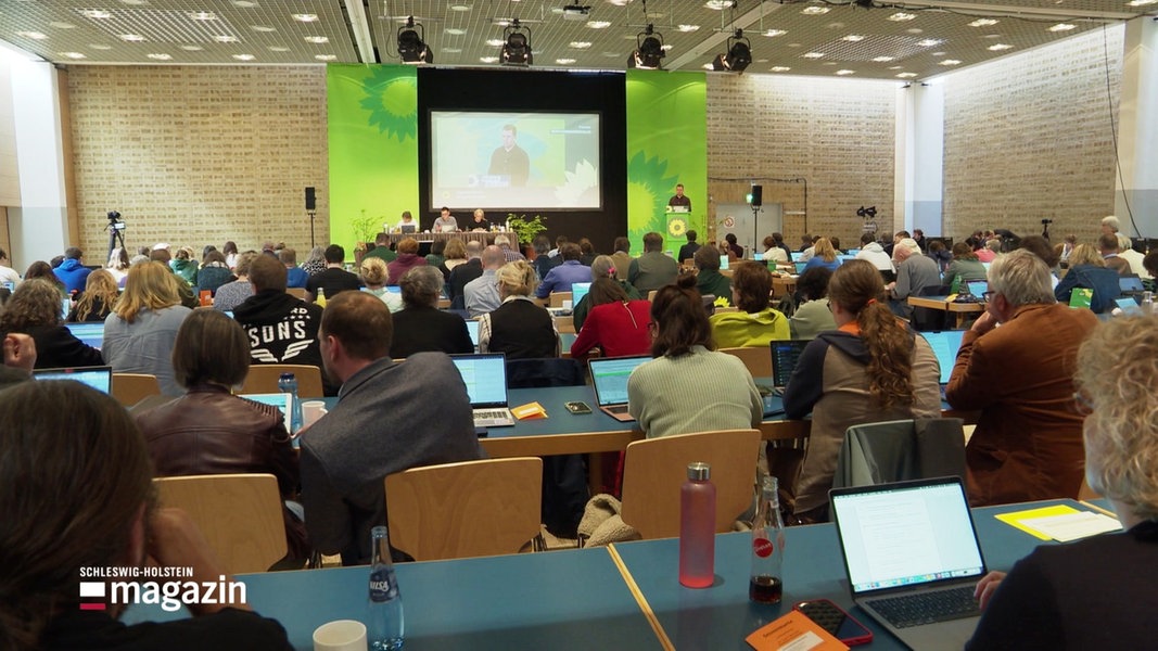 Delegierte hören beim Landesparteitag der Grünen in Neumünster einem Redner zu.