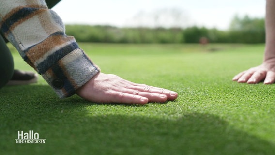 Eine Hand streicht über einen frisch gemähten Golfrasen. © Screenshot 