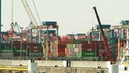 Container im Hamburger Hafen. © Screenshot 