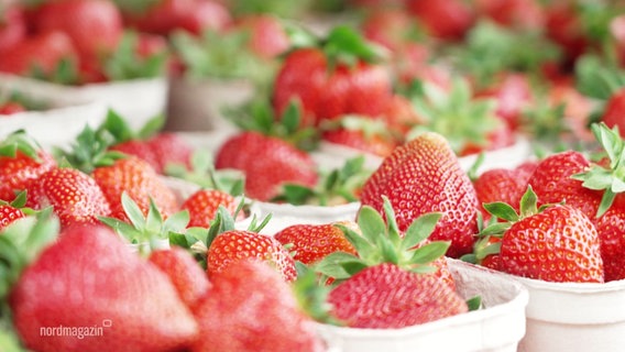 Erdbeeren in Pappschalen. © Screenshot 