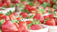 Erdbeeren in Pappschalen. © Screenshot 
