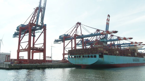 Ein Containerschiff liegt am Hamburger Hafen. © Screenshot 