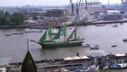 Schiffe auf der Elbe während des Hafengeburtstages. © Screenshot 
