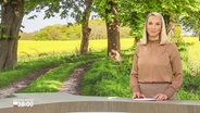 Alexandra Bauer moderiert Schleswig-Holstein 18:00 Uhr. © Screenshot 