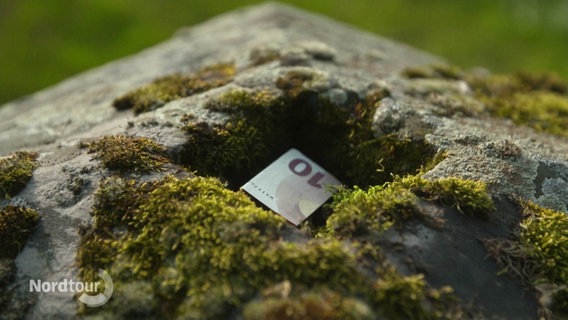 Bargeld liegt in einer von Moos bewachsenen Steinskulptur. © Screenshot 