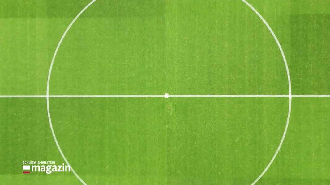 Aufsicht auf den Mittelkreis eines Fußball-Rasens.